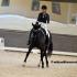 Mid-South Dressage Academy: Memphis in Springtime